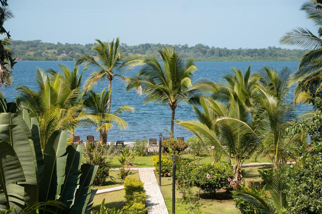 Dolphin Blue Paradise Bocas del Toro Zewnętrze zdjęcie