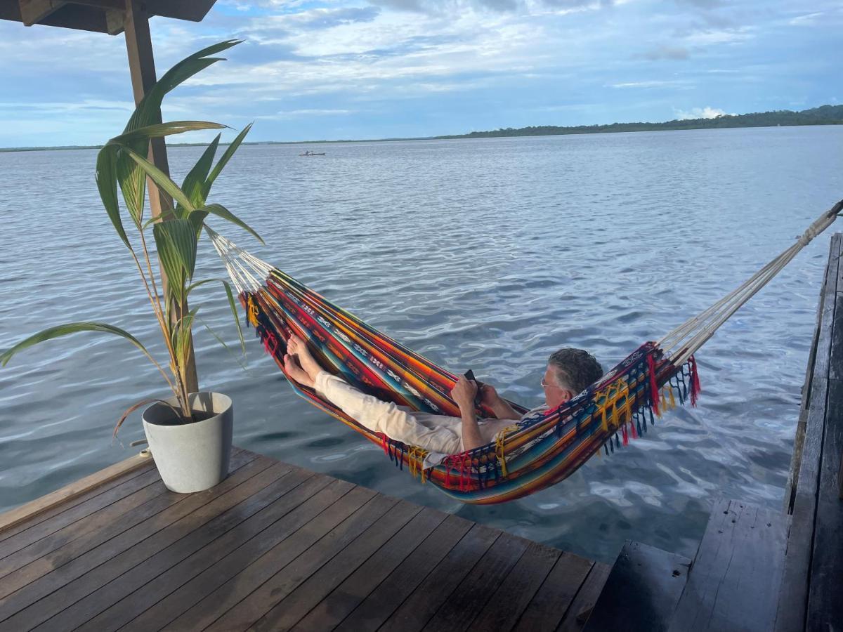 Dolphin Blue Paradise Bocas del Toro Zewnętrze zdjęcie