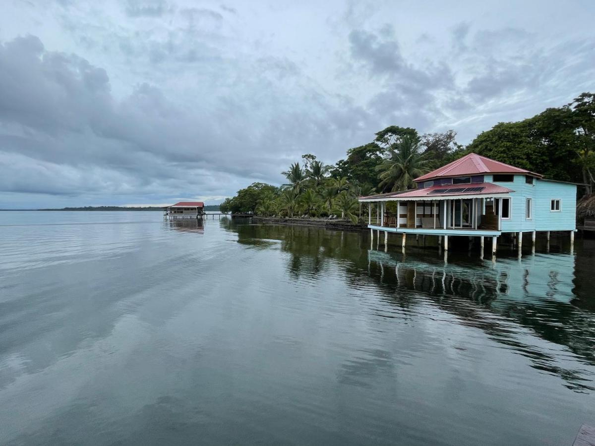 Dolphin Blue Paradise Bocas del Toro Zewnętrze zdjęcie