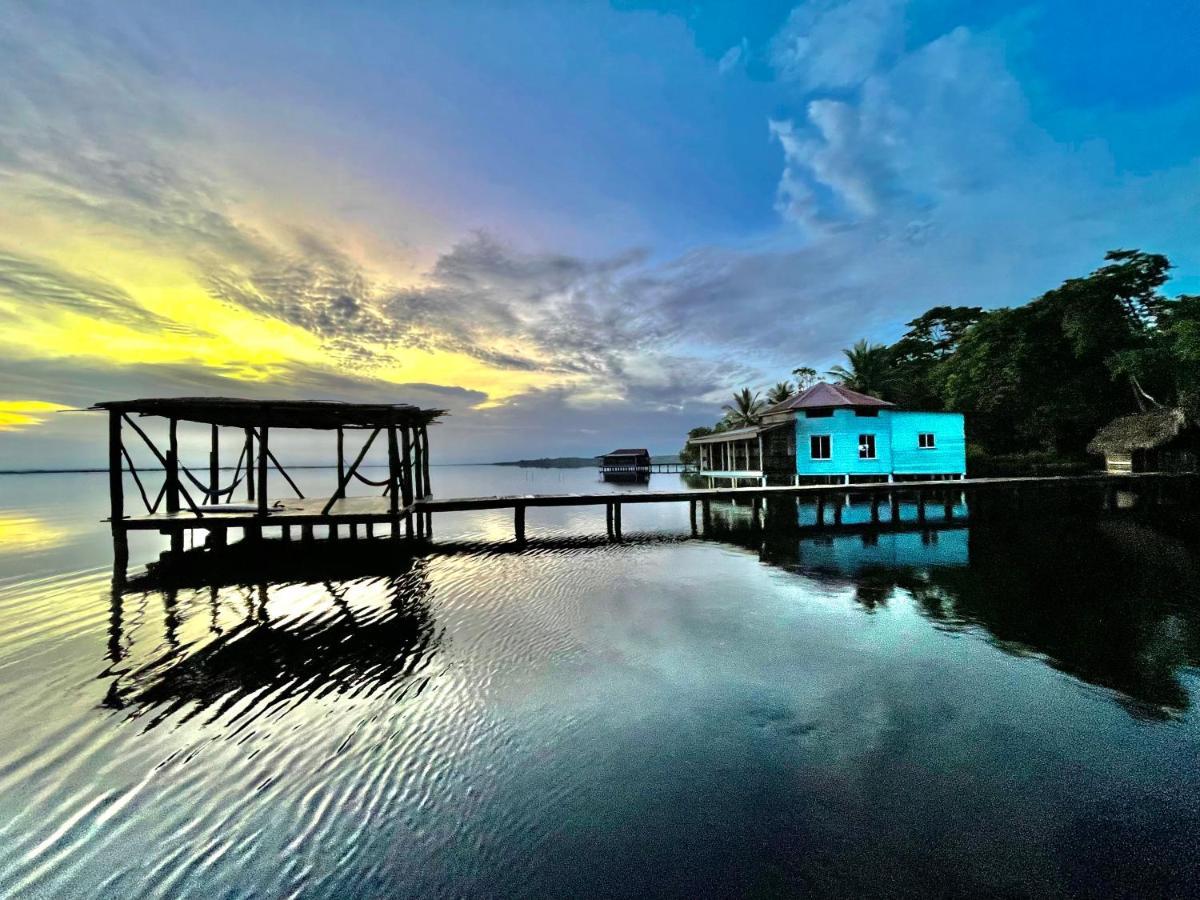 Dolphin Blue Paradise Bocas del Toro Zewnętrze zdjęcie