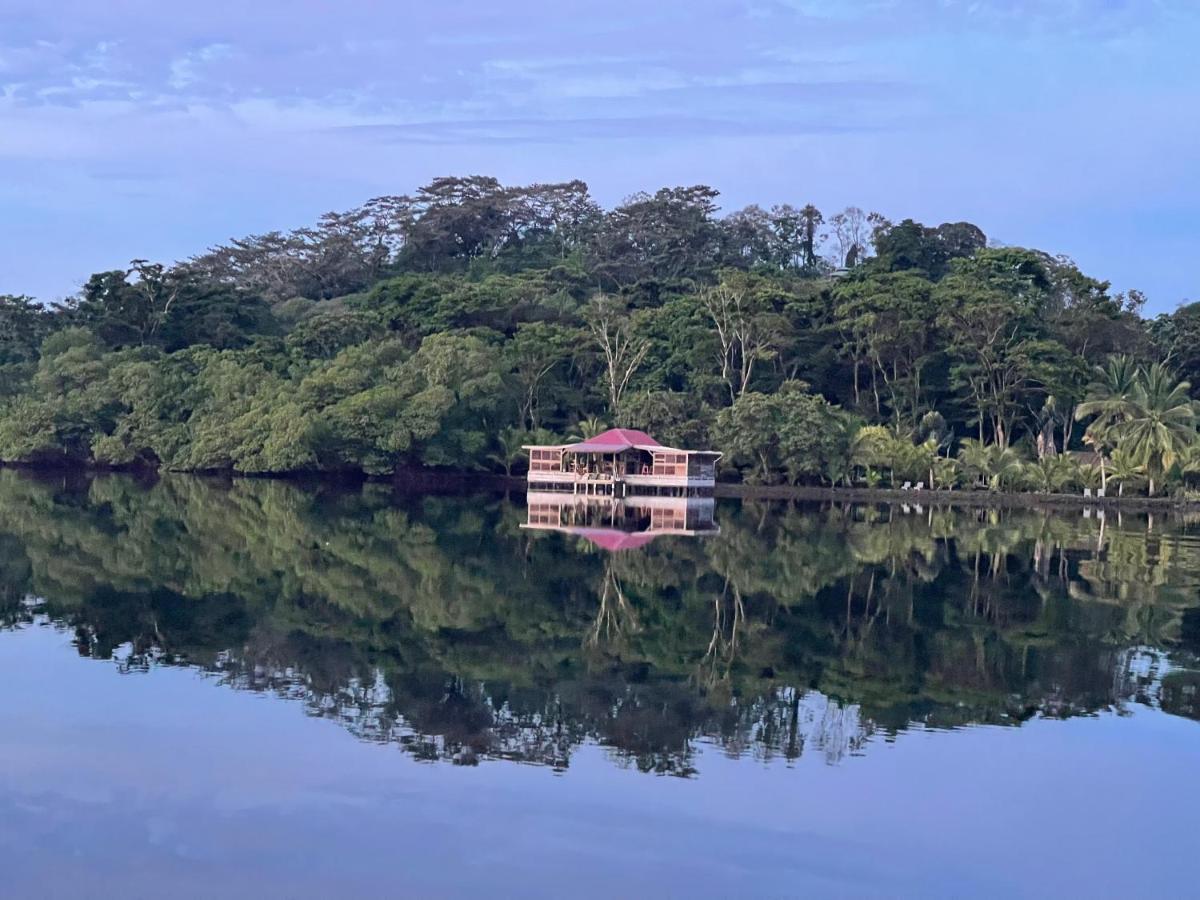 Dolphin Blue Paradise Bocas del Toro Zewnętrze zdjęcie