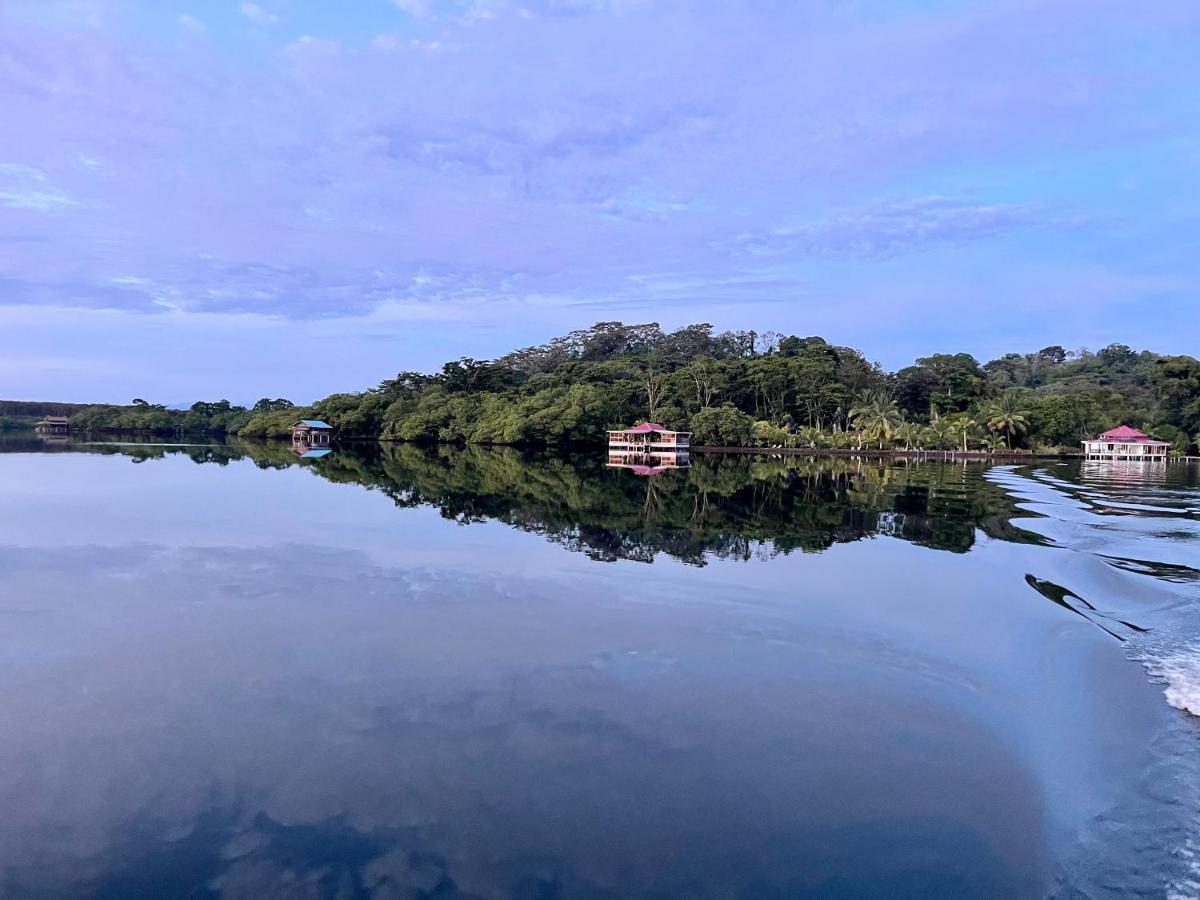 Dolphin Blue Paradise Bocas del Toro Zewnętrze zdjęcie