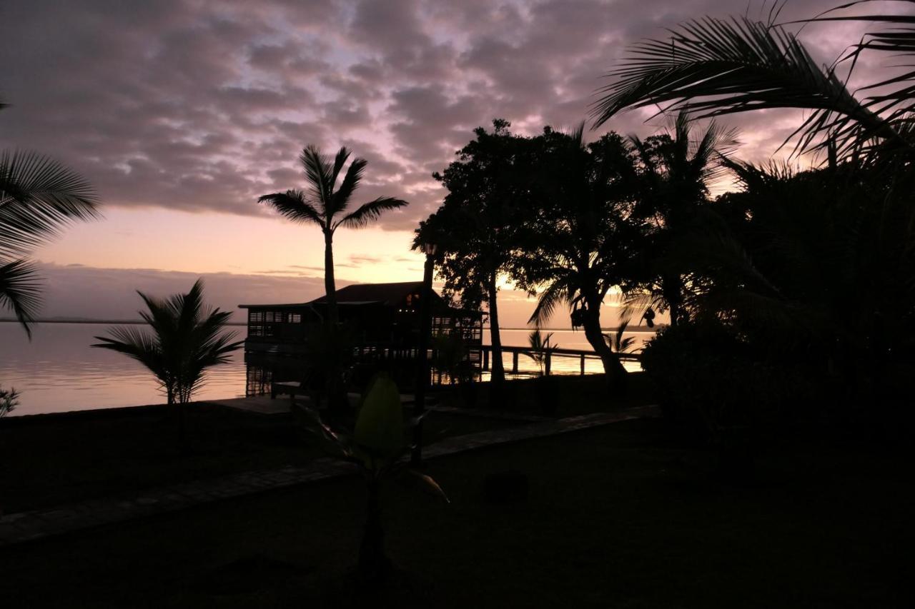 Dolphin Blue Paradise Bocas del Toro Zewnętrze zdjęcie