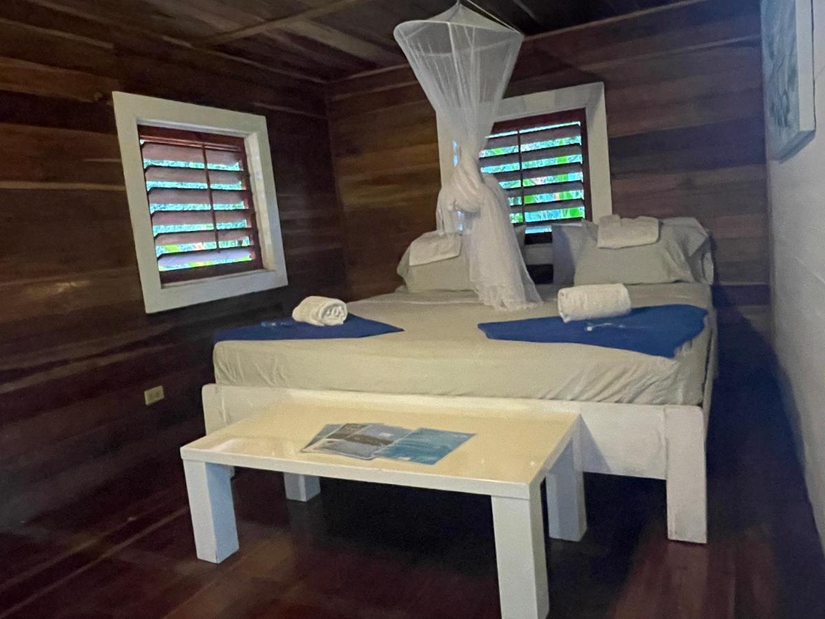 Dolphin Blue Paradise Bocas del Toro Zewnętrze zdjęcie