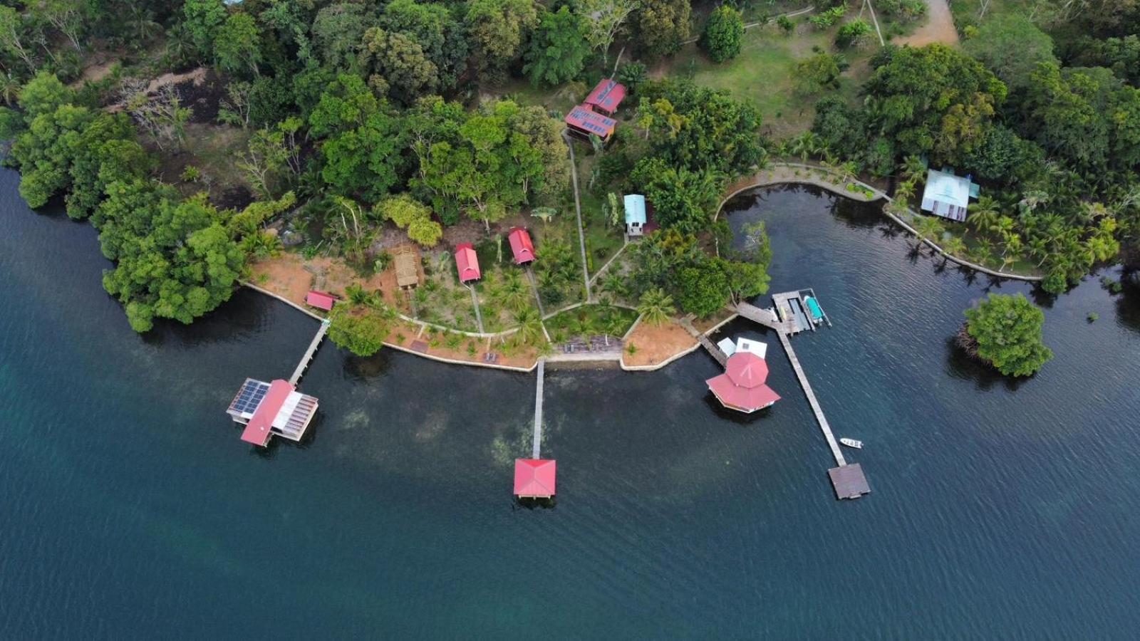 Dolphin Blue Paradise Bocas del Toro Zewnętrze zdjęcie