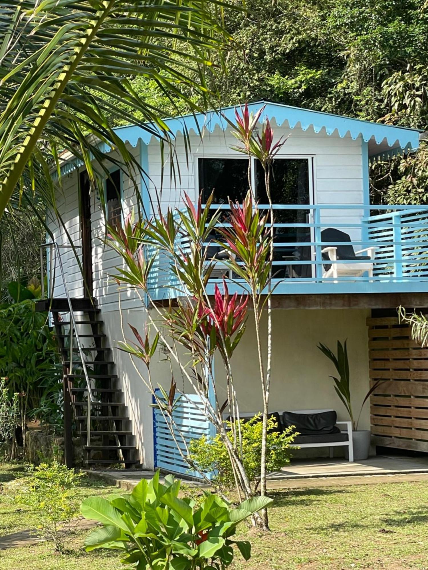 Dolphin Blue Paradise Bocas del Toro Zewnętrze zdjęcie