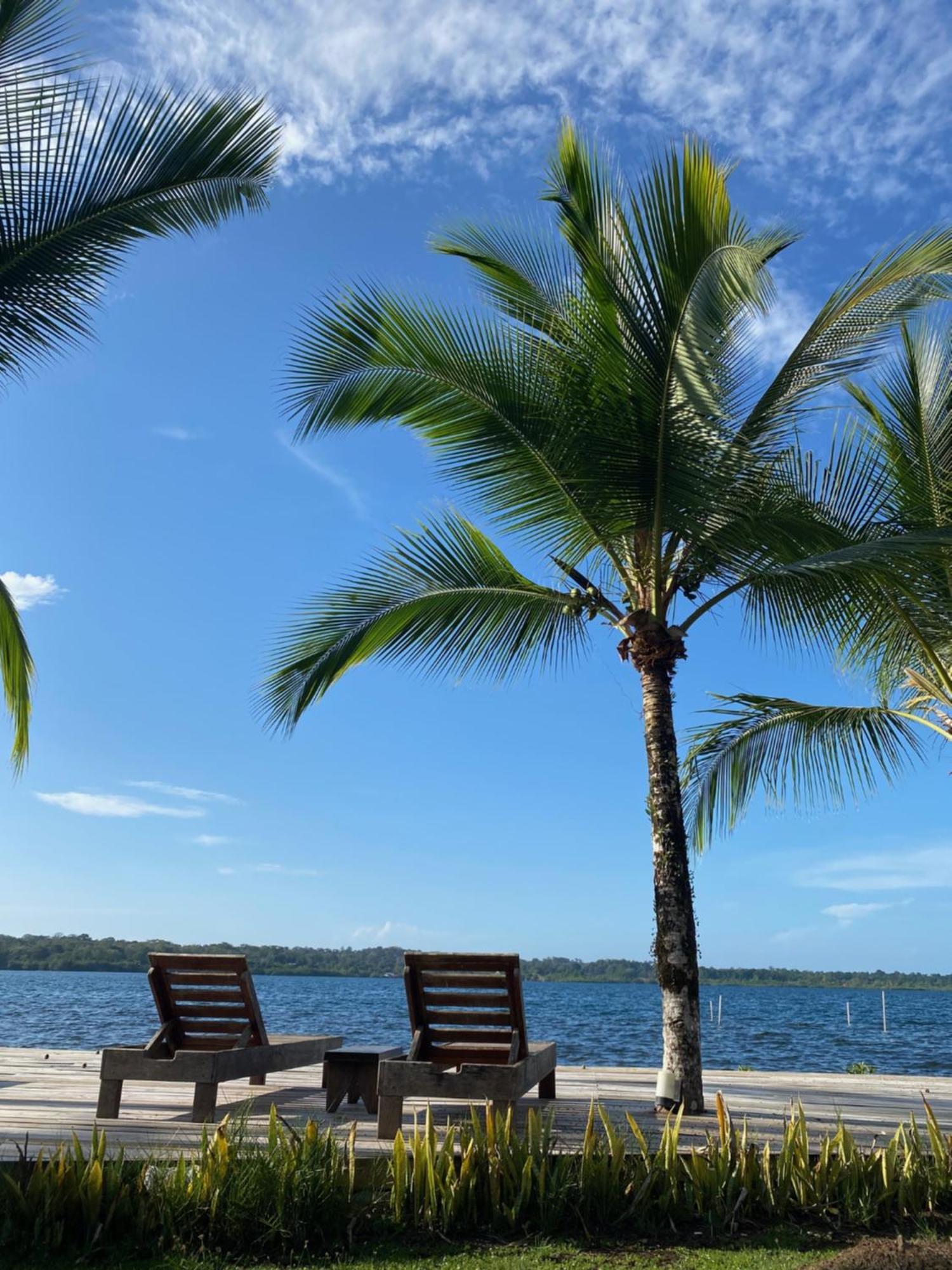 Dolphin Blue Paradise Bocas del Toro Zewnętrze zdjęcie