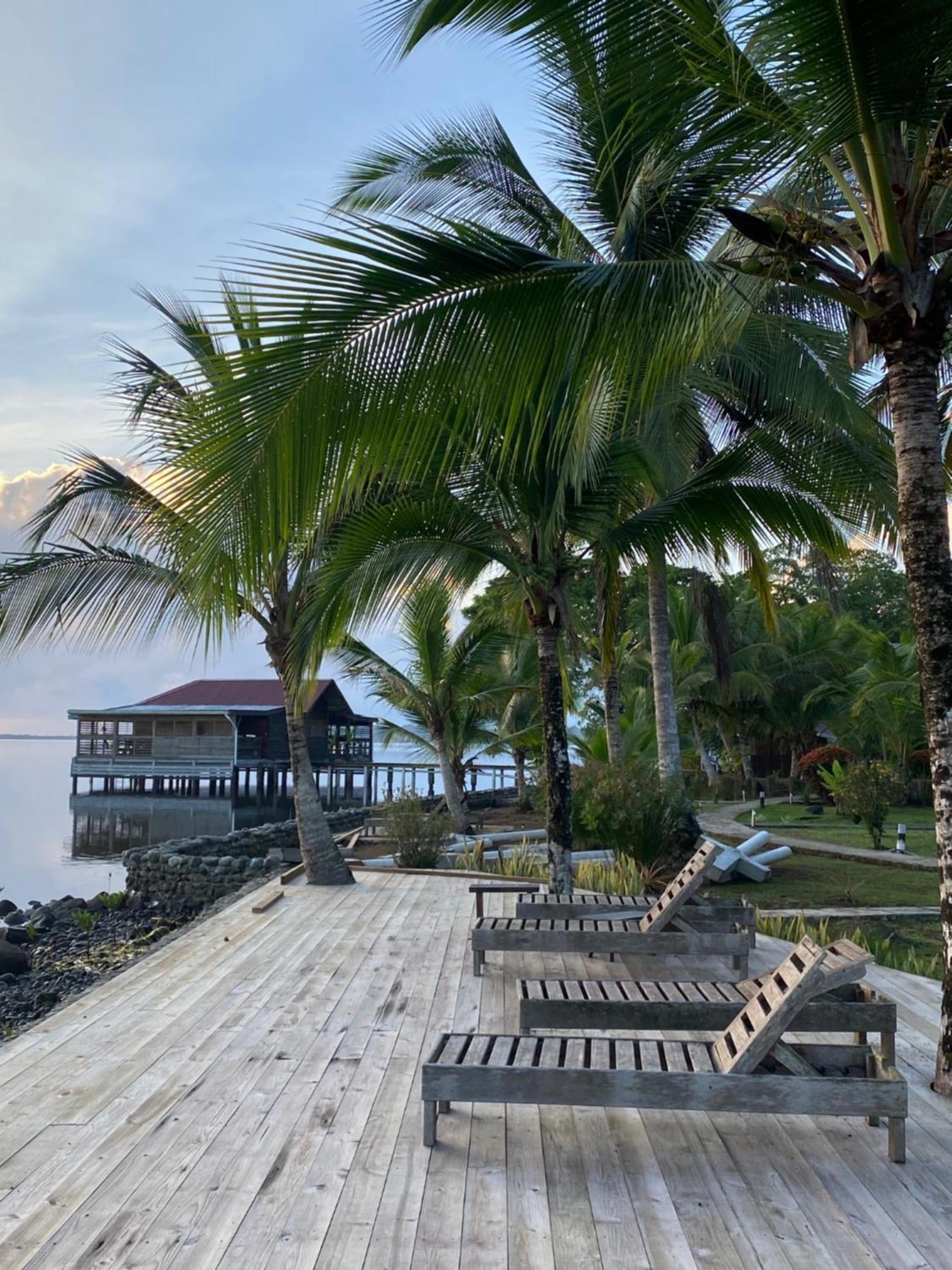 Dolphin Blue Paradise Bocas del Toro Zewnętrze zdjęcie