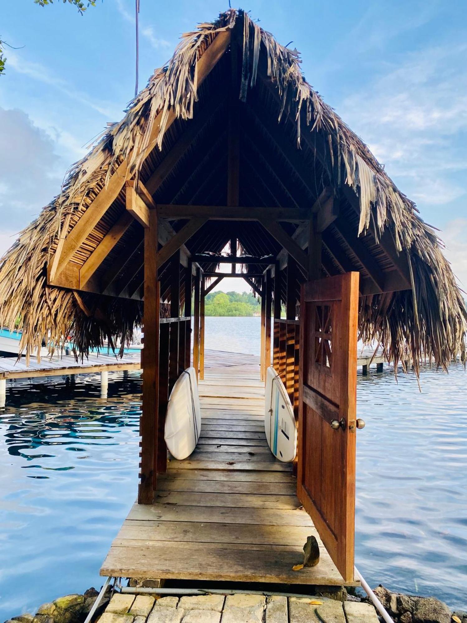 Dolphin Blue Paradise Bocas del Toro Zewnętrze zdjęcie