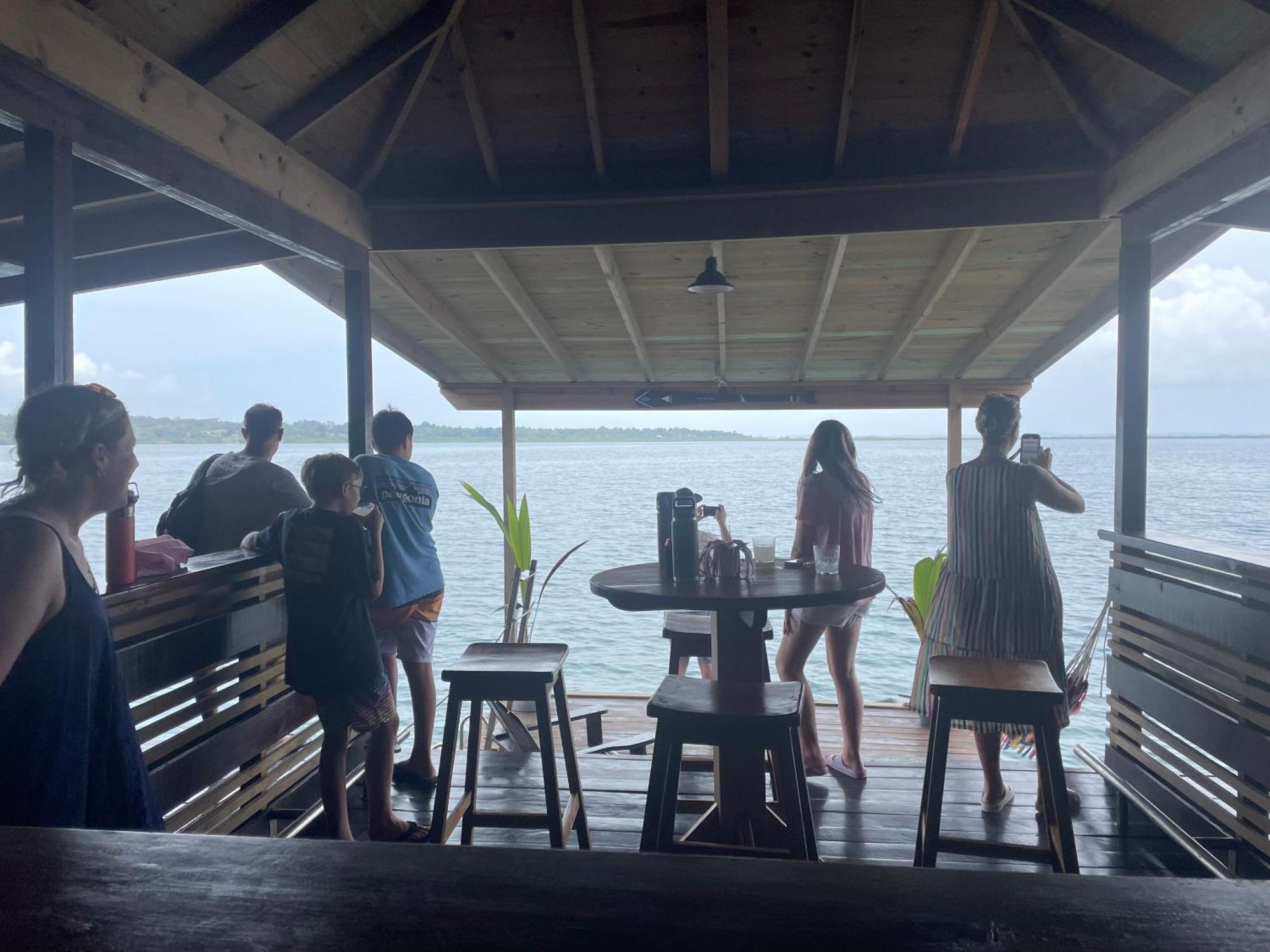 Dolphin Blue Paradise Bocas del Toro Zewnętrze zdjęcie