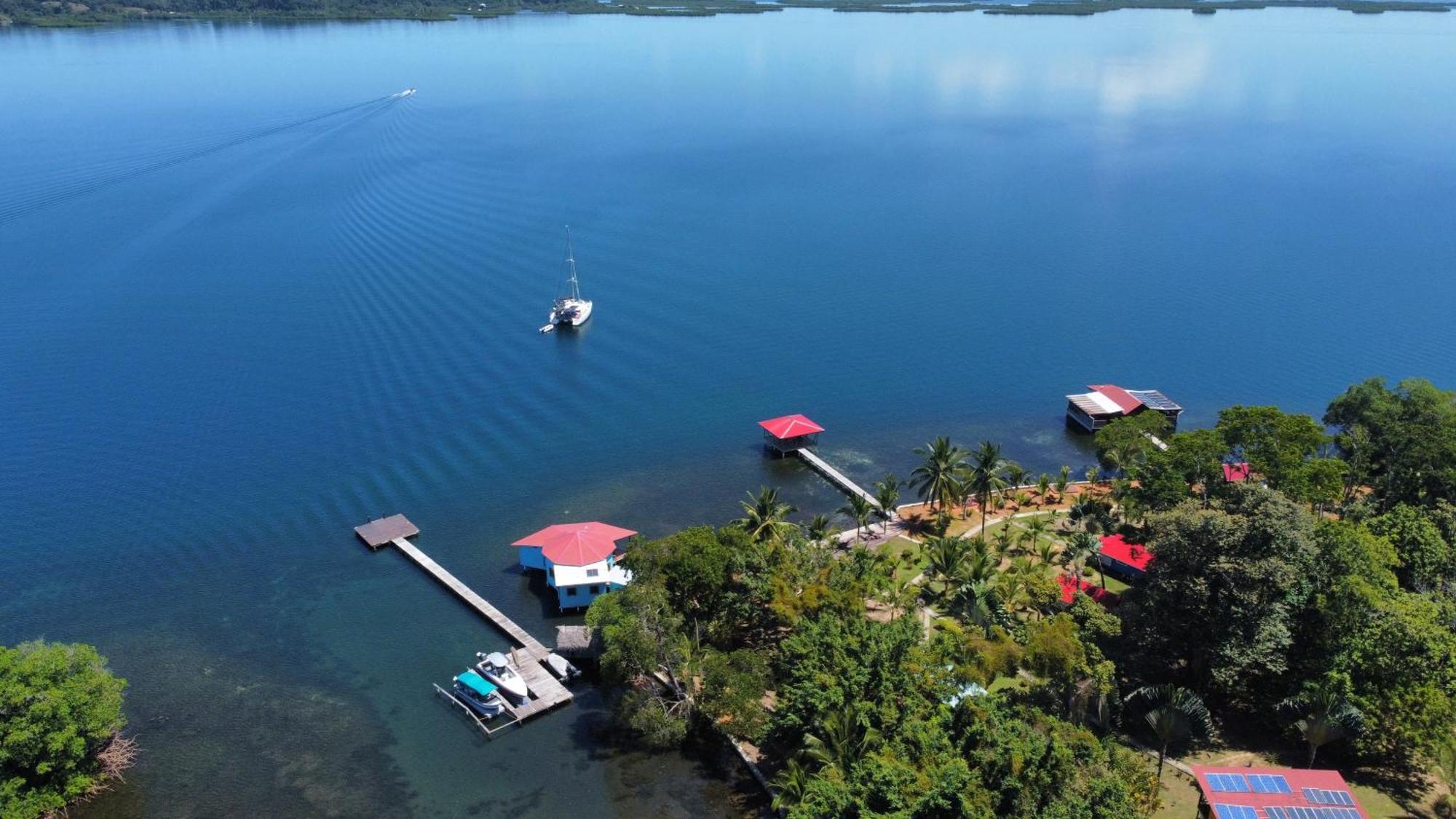 Dolphin Blue Paradise Bocas del Toro Zewnętrze zdjęcie