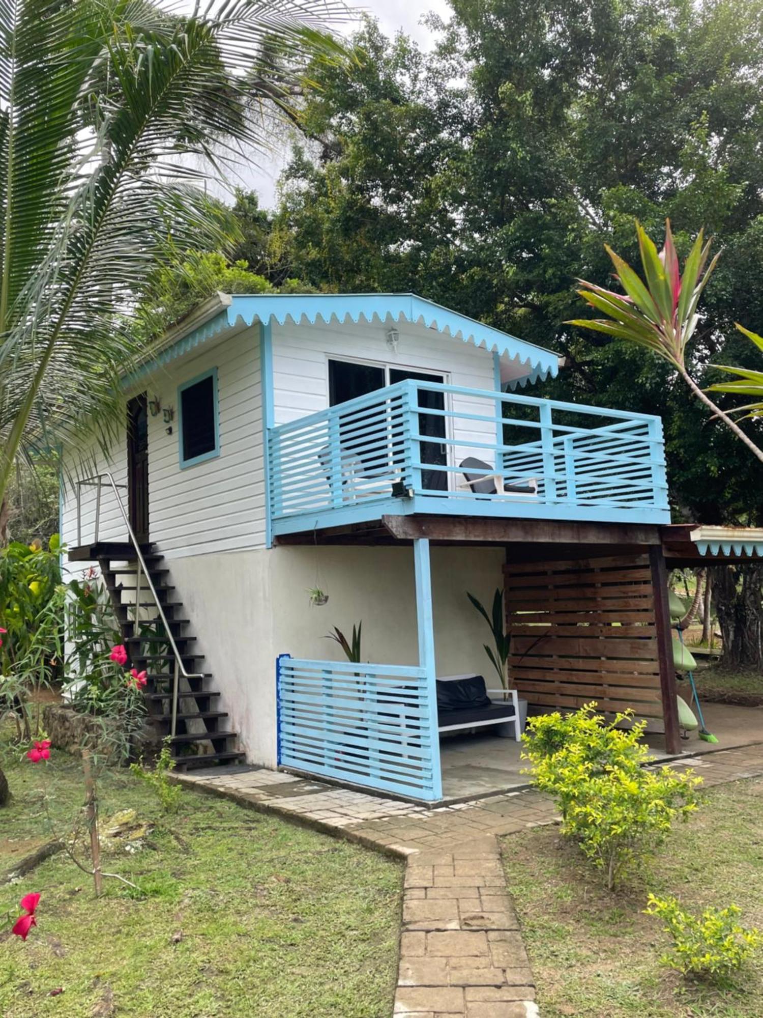 Dolphin Blue Paradise Bocas del Toro Zewnętrze zdjęcie