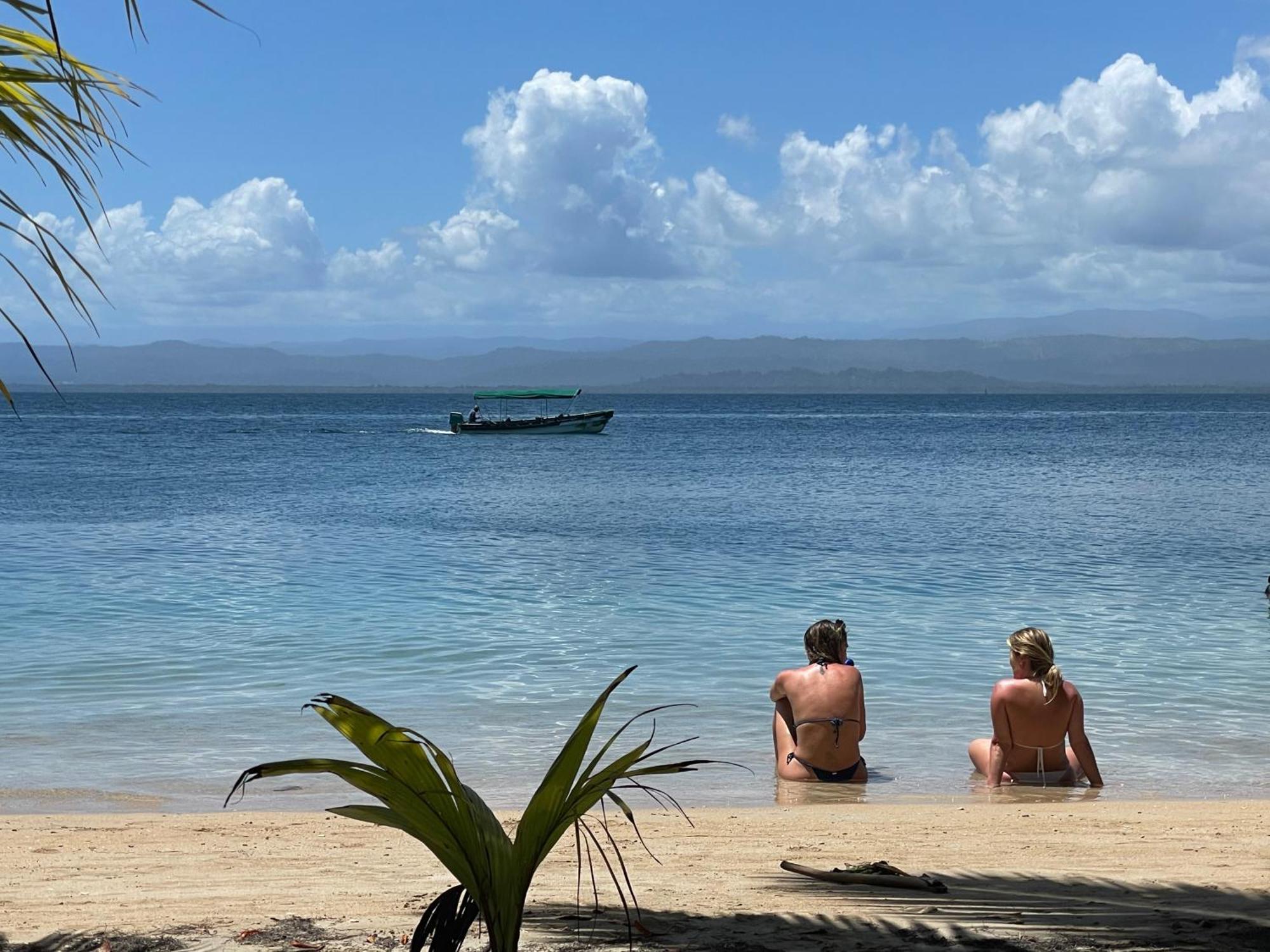 Dolphin Blue Paradise Bocas del Toro Zewnętrze zdjęcie