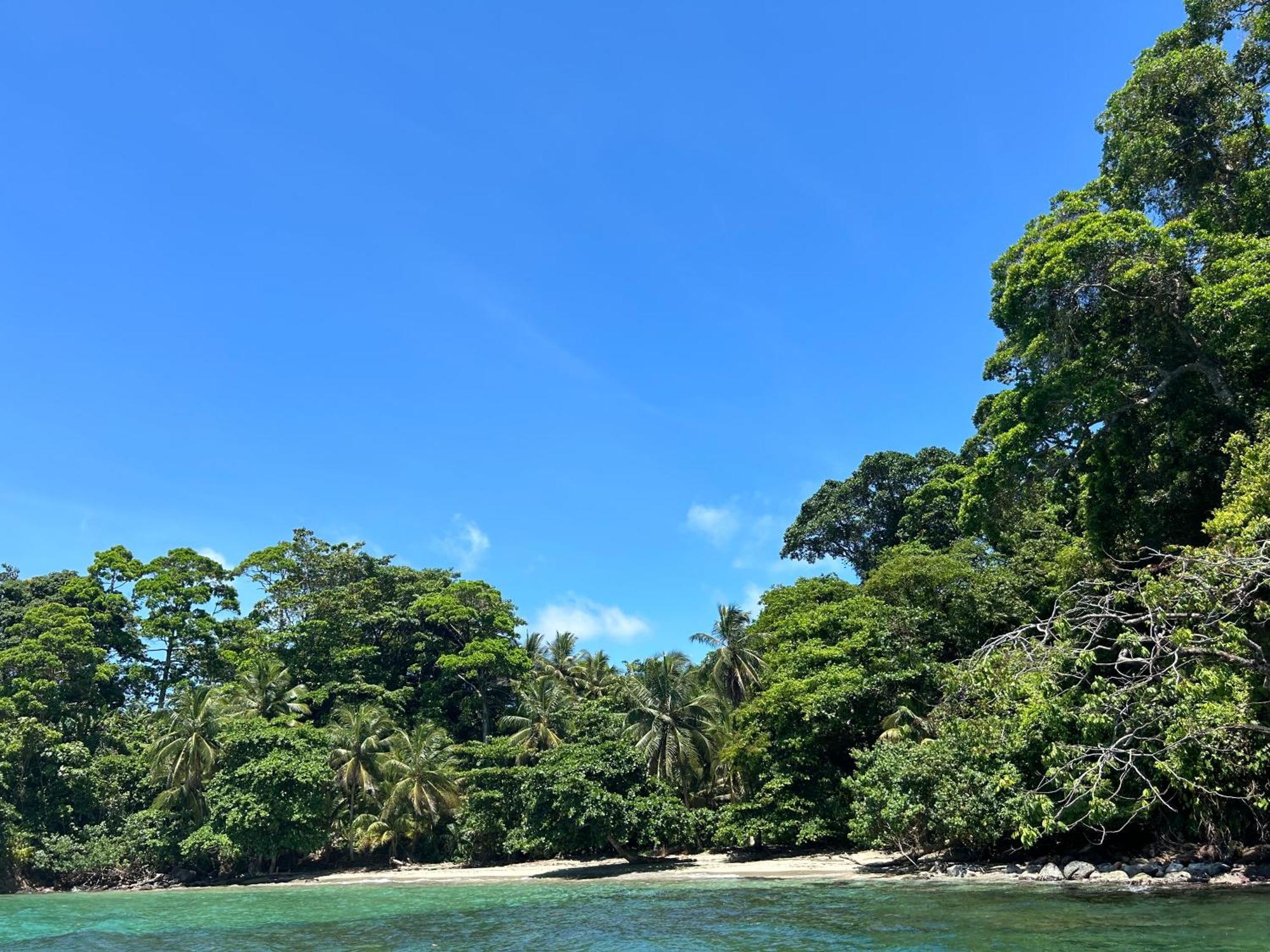 Dolphin Blue Paradise Bocas del Toro Zewnętrze zdjęcie
